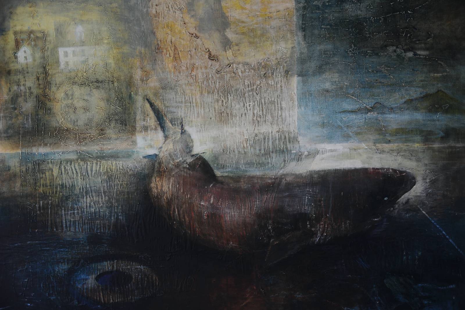 Immagine Squalo della Groenlandia (Hugo Aasjord)