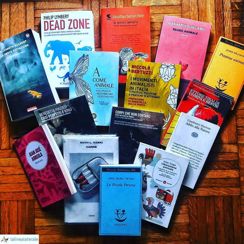 41934616_1999087380383520_8694319159334404096_n