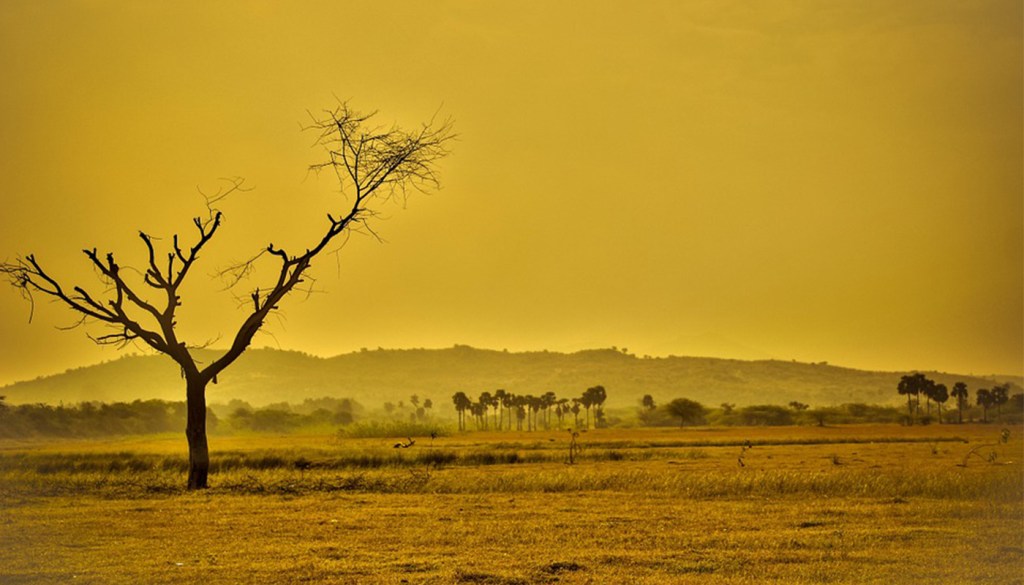 Il nuovo rapporto dell’IPCC sul&nbsp;clima