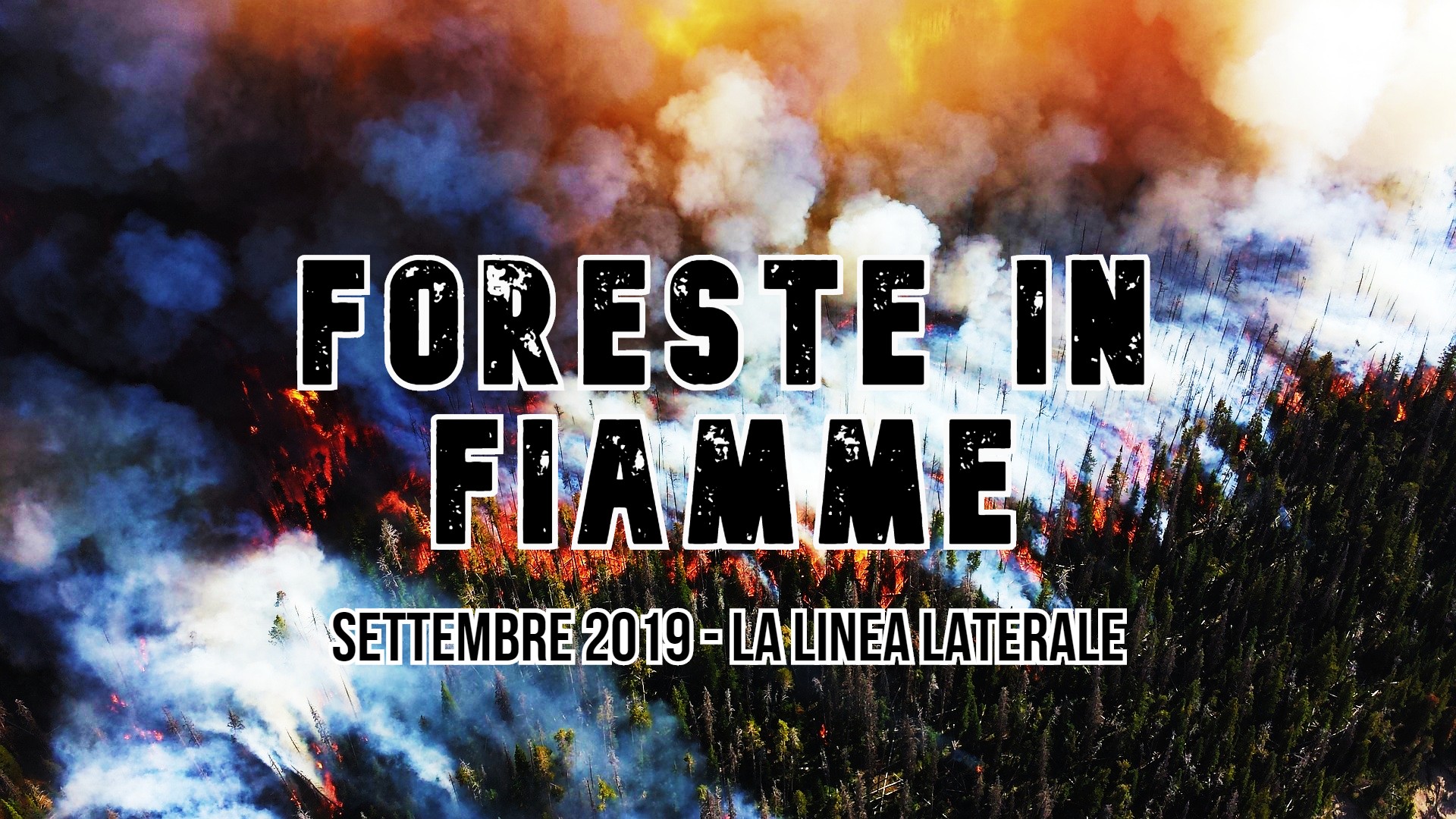 Foreste in fiamme (large)