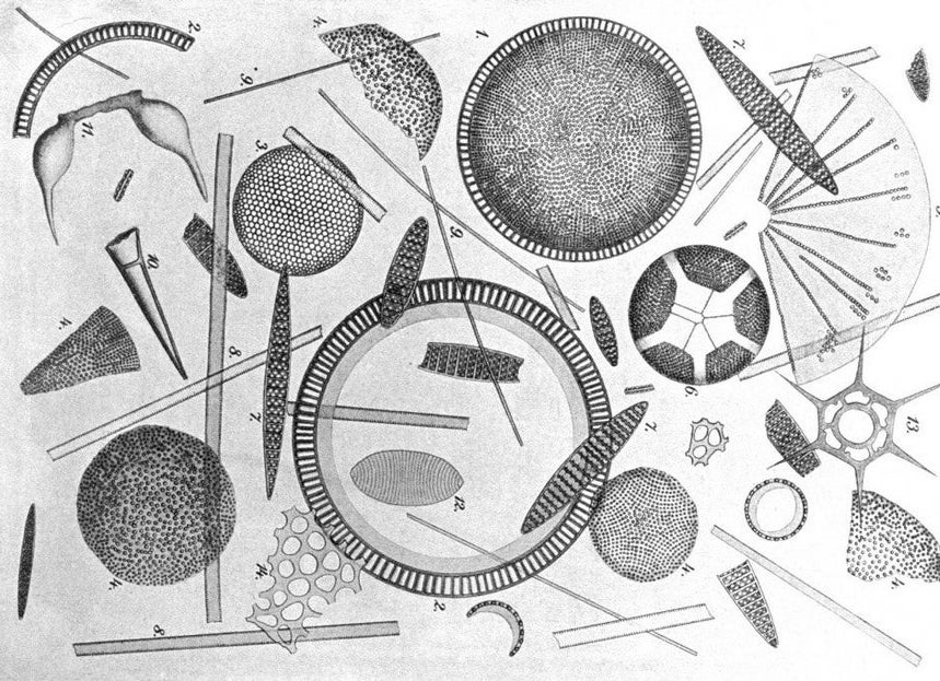 “Leggere la terra e il cielo” di Francesco&nbsp;Guglieri