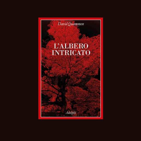 97091734_2694893537456838_5792771234206842880_n