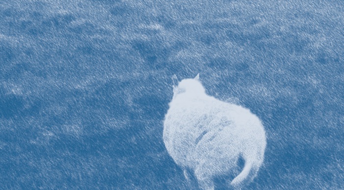 “Capitalocene” di Silvio&nbsp;Valpreda