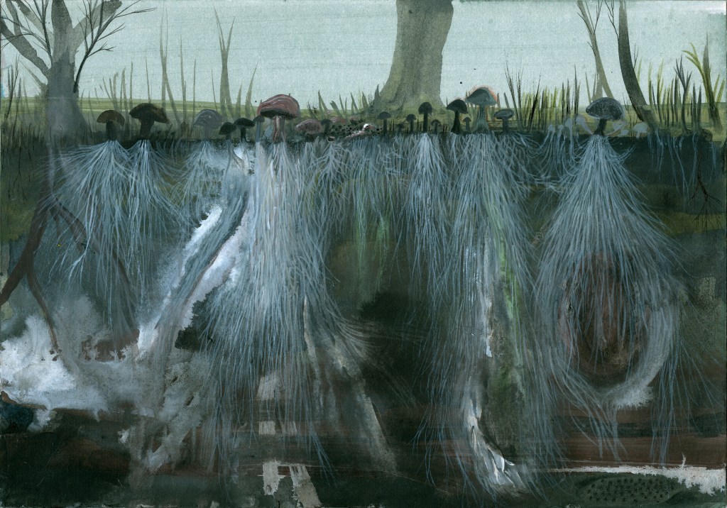 “Micelio”, il numero 0 della rivista&nbsp;Axolotl