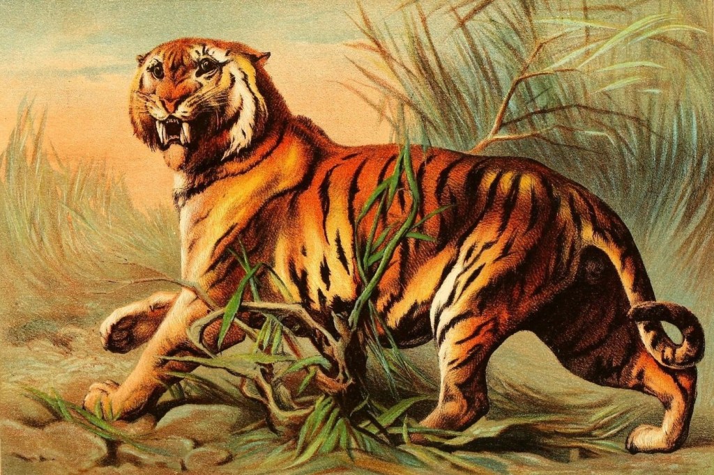 “Mangiatrici di uomini” di Brian Phillips (un&nbsp;estratto)