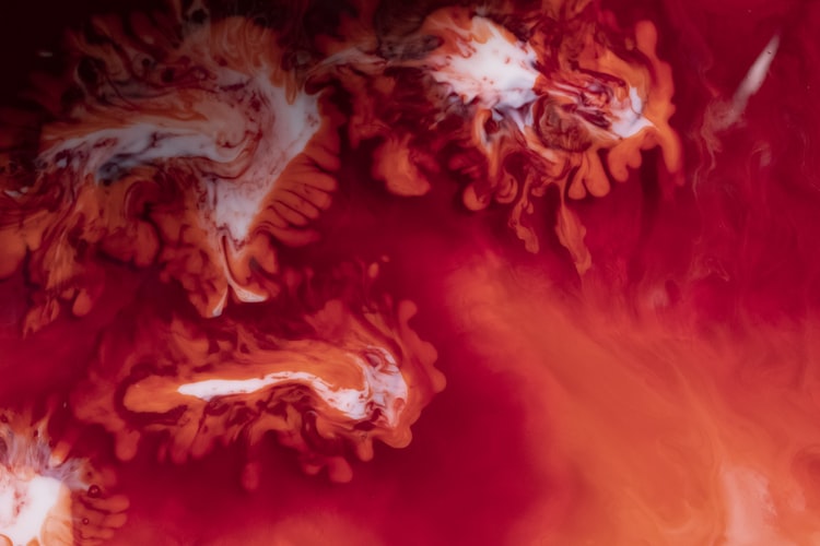 Il sangue del&nbsp;futuro