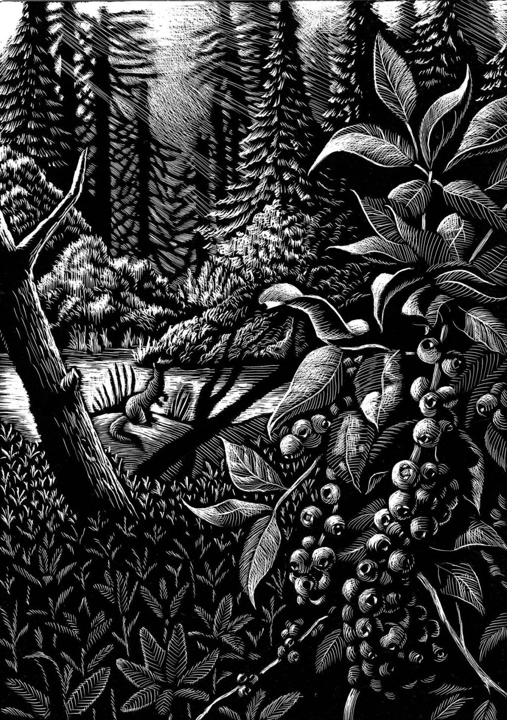 La frontiera selvaggia: una nuova collana di La Nuova&nbsp;Frontiera