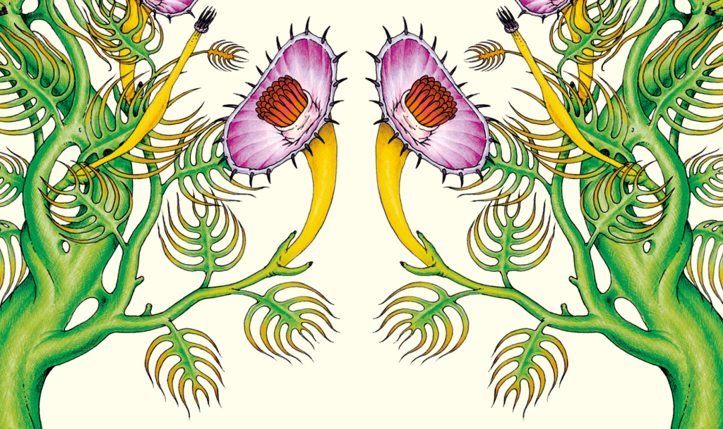 Sta arrivando Hortus&nbsp;mirabilis!